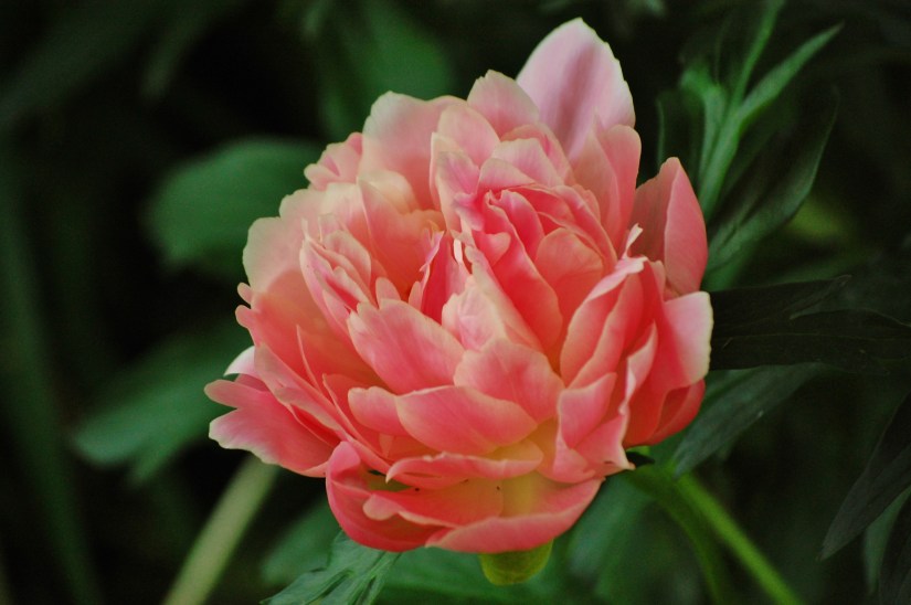 ~My—Photo—Share~ #4