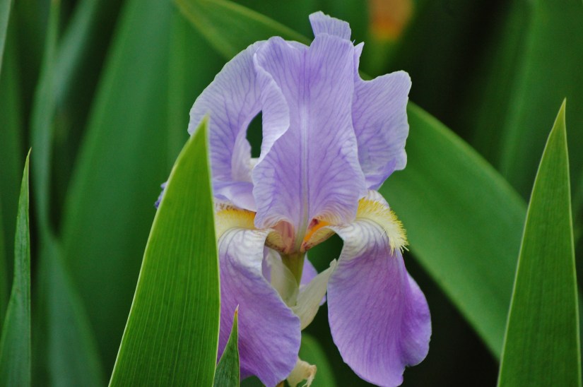 ~My—Photo—Share~