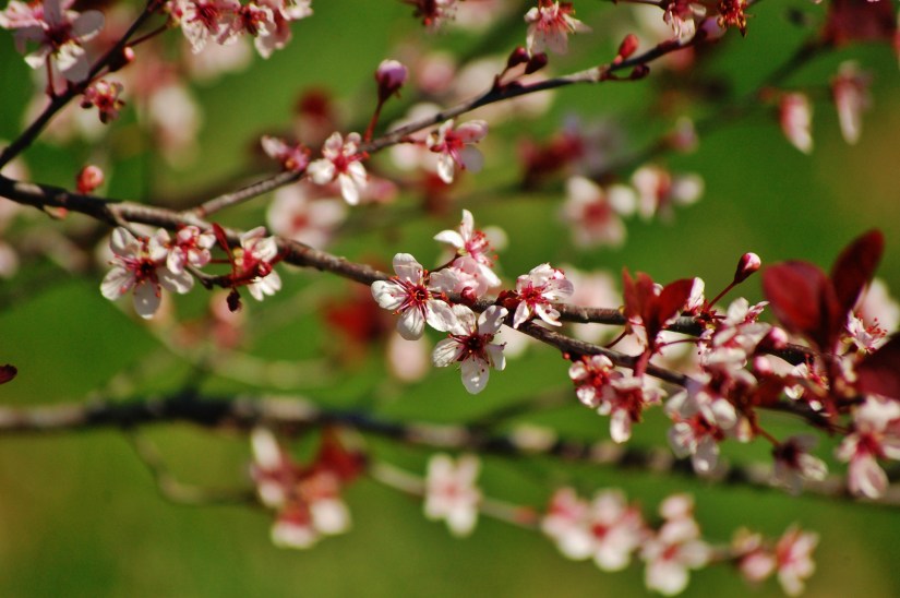 ~My—Photo—Share~ #3