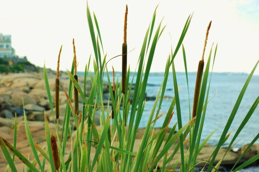 ~My—Photo—Share~ #2