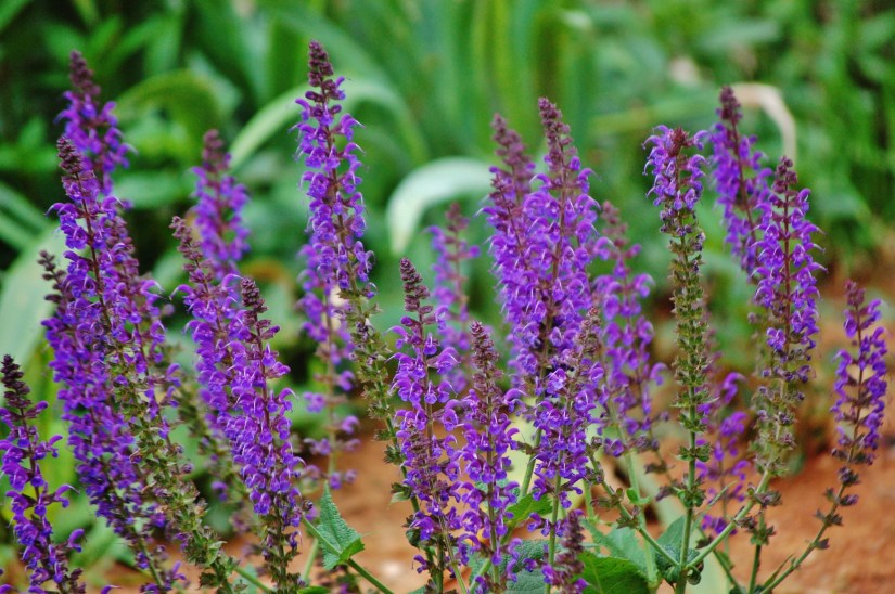 ~My—Photo—Share~ #6