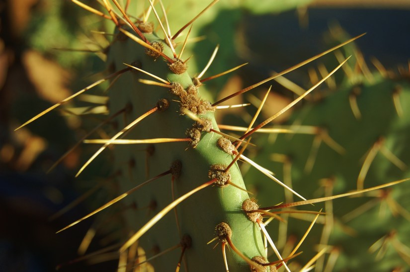 ~My Photo Share~ #16