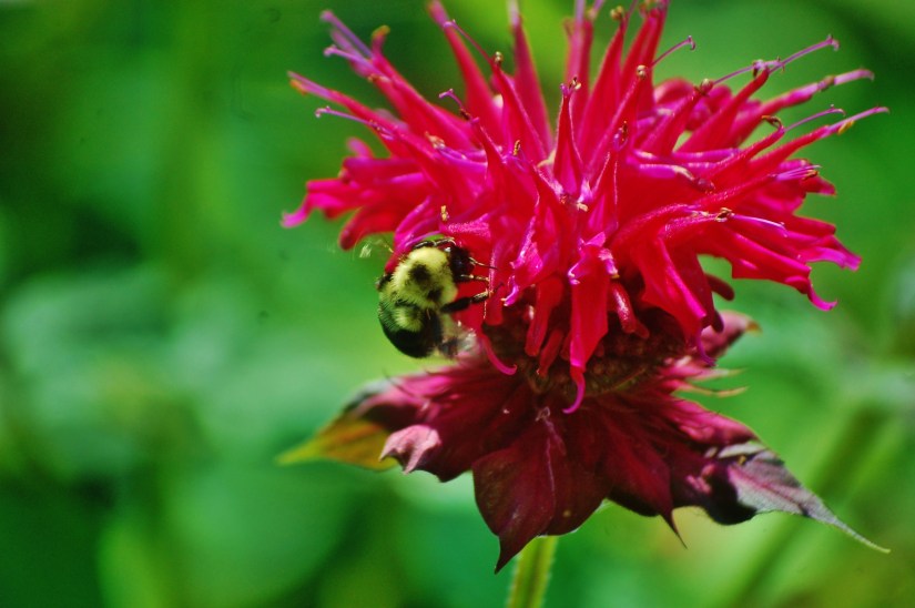 ~My—Photo—Share~ #5