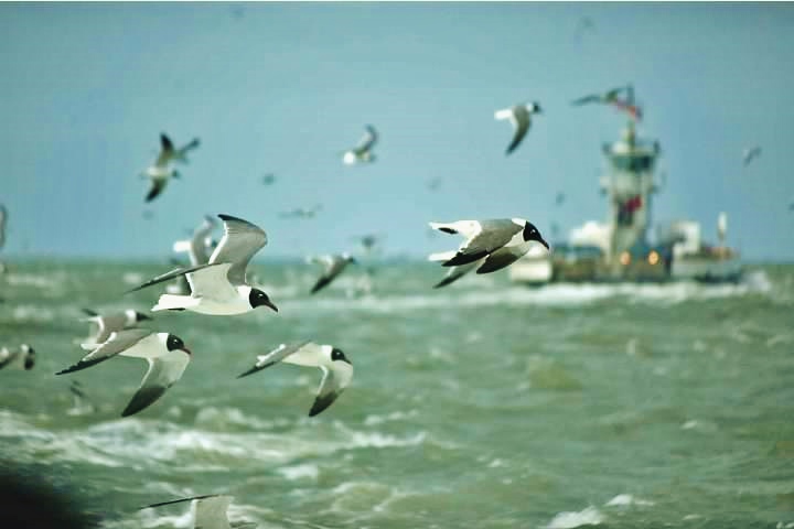 ~My—Photo—Share~ #6