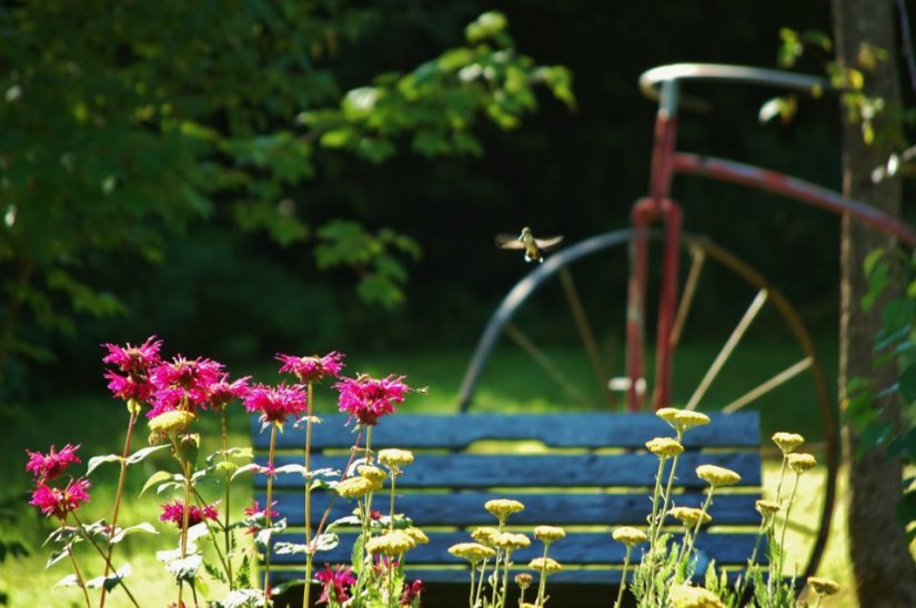 ~My Photo Share~ #10