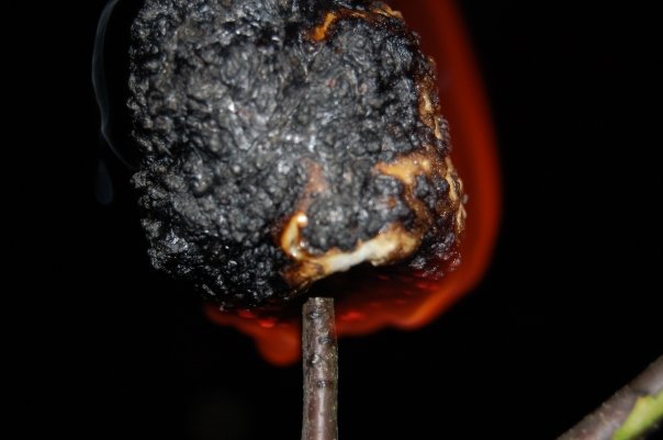 ~My Photo Share~ #24