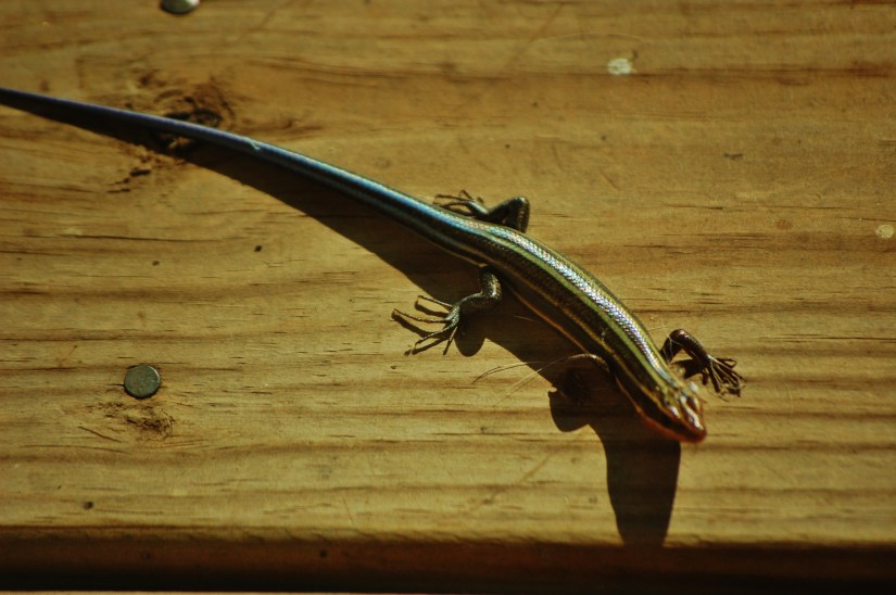 ~My Photo Share~ #21