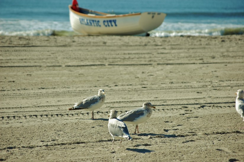 ~My Photo Share~ #19