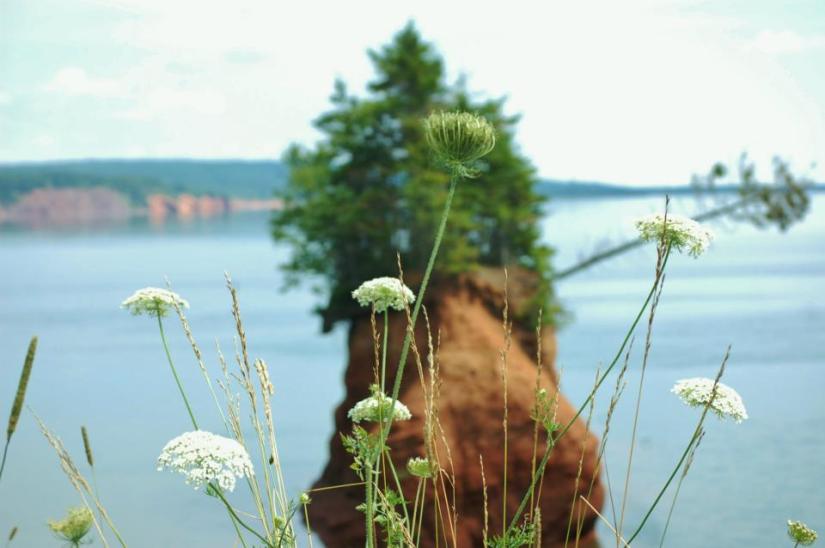 ~My Photo Share~ #12