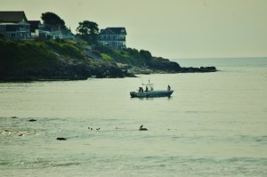 Activity in the harbor