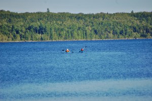A short kayak outing (normally everyone wears life jackets)