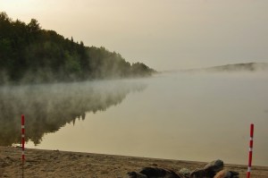 Early summer morning mist...