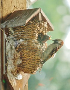 This Mama's Life (B)