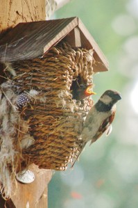 This Mama's Life (D)