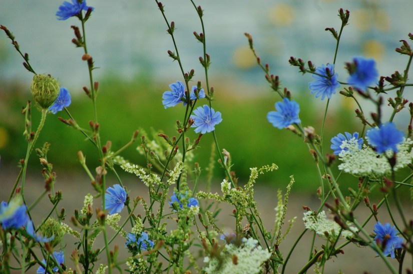 Wallace, Nova Scotia
