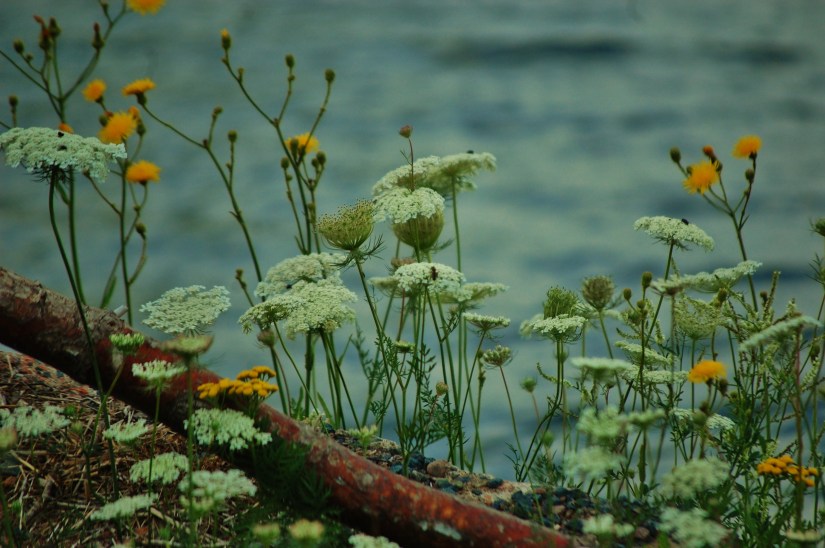 Wallace, Nova Scotia