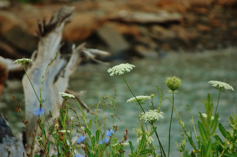 Wallace, Nova Scotia
