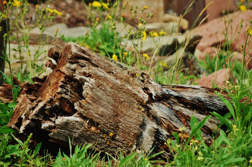 Pugwash, Nova Scotia