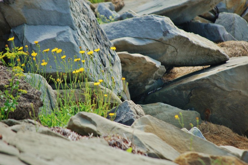 Pugwash, Nova Scotia