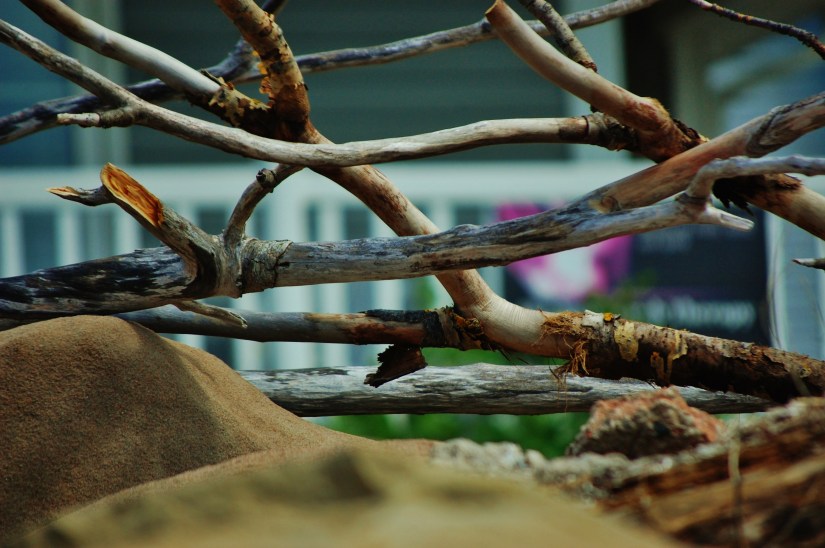 Pugwash, Nova Scotia