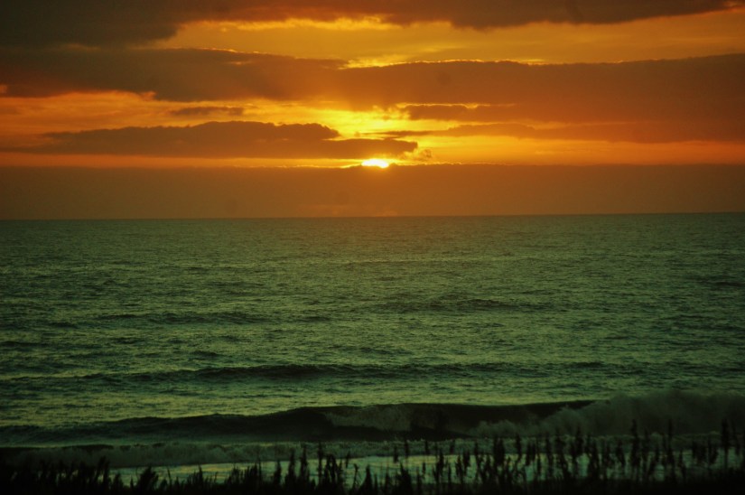 Gotta make it back to Carolina soon...