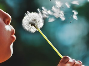 Make a wish & bloooowww,...