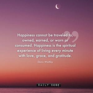 Denis Waitley Happiness