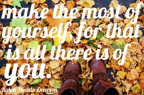 Image Source: flickr.com/photos/29601905@N05/6620042919/