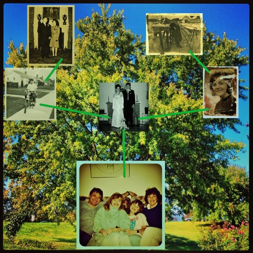 Our Family Tree